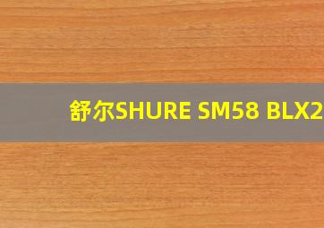 舒尔SHURE SM58 BLX288